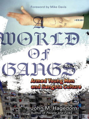 cover image of A World of Gangs: Armed Young Men and Gangsta Culture